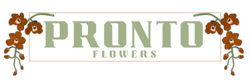 Pronto Flowers